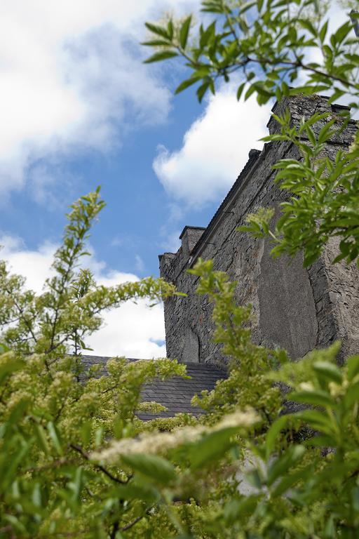 Finnstown Castle Hotel Lucan Exteriör bild